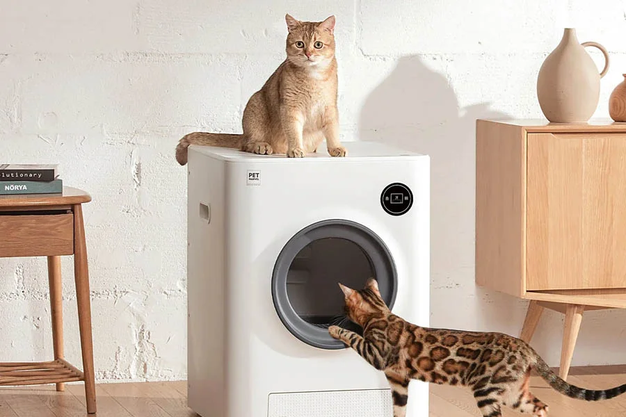 best automatic litterboxes