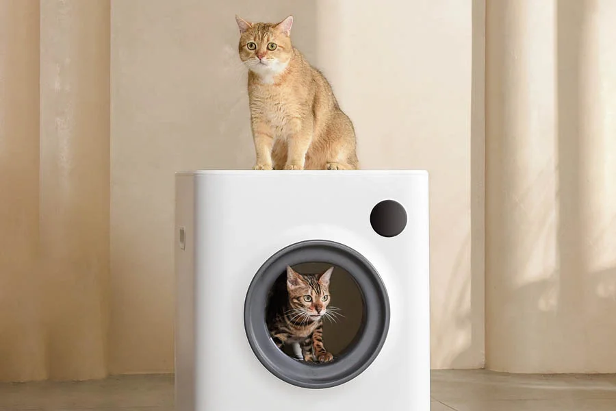 toilet for cats