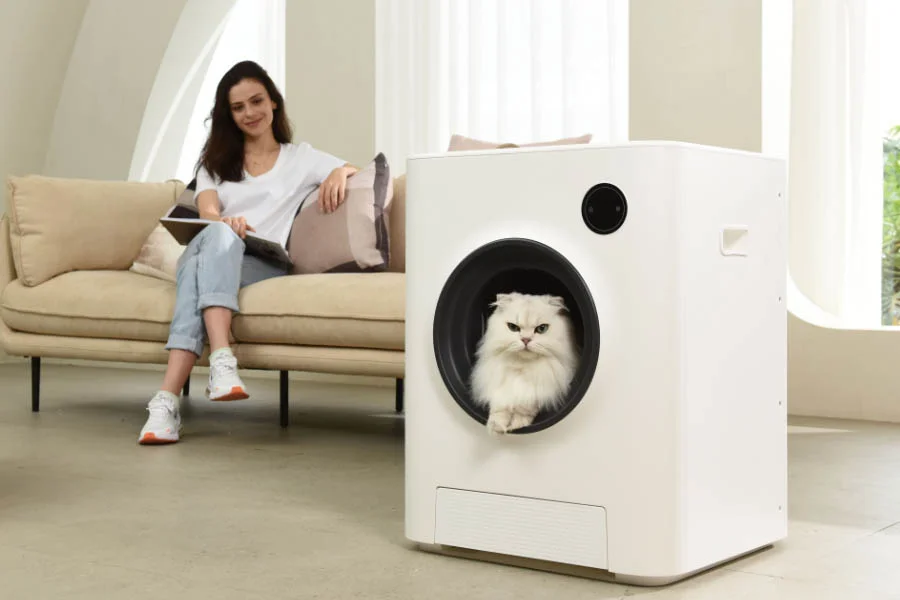 toilet for cats