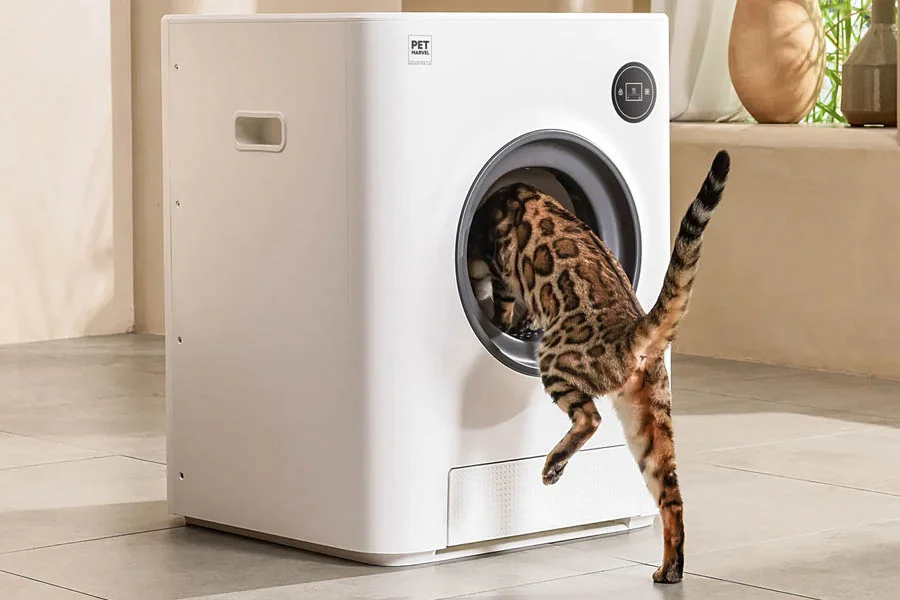 best automatic litterboxes