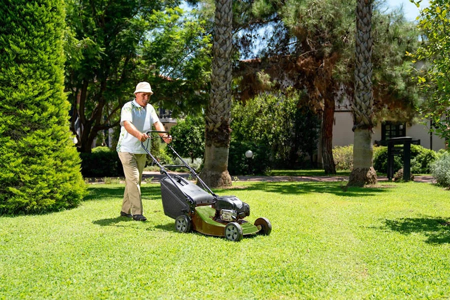 lawn mower for small lawns